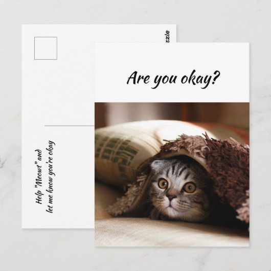 Denk aan je grappige kat, laat me weten dat je in briefkaart (Voorkant / Achterkant)