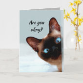 Denk aan je grappige kat, laat me weten dat je in  kaart (Gele Bloem)