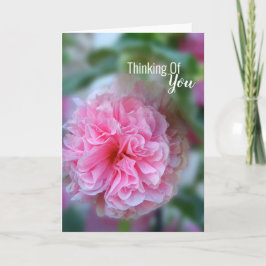 Denk aan je Hollyhock foto Kaart