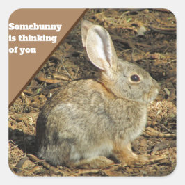 Denk aan je Humor Brown Bunny Foto Animal Vierkante Sticker