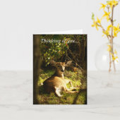 Denk aan je jonge bok in de weide kaart (Gele Bloem)