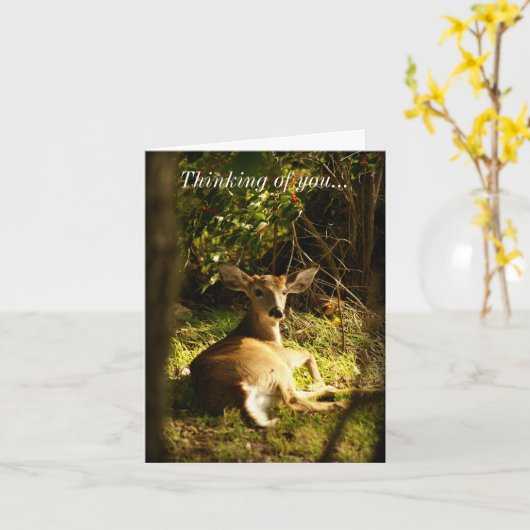 Denk aan je jonge bok in de weide kaart (Gele Bloem)