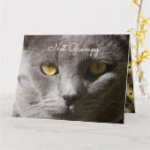 Denk aan je Kaart (Gele Bloem)