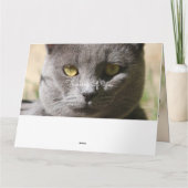 Denk aan je Kaart (Achterkant)