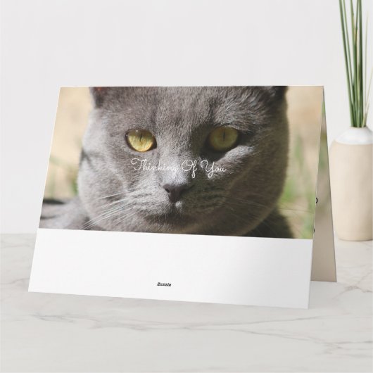 Denk aan je Kaart (Achterkant)