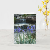 Denk aan je kaart - Irises in Chateau (Gele Bloem)