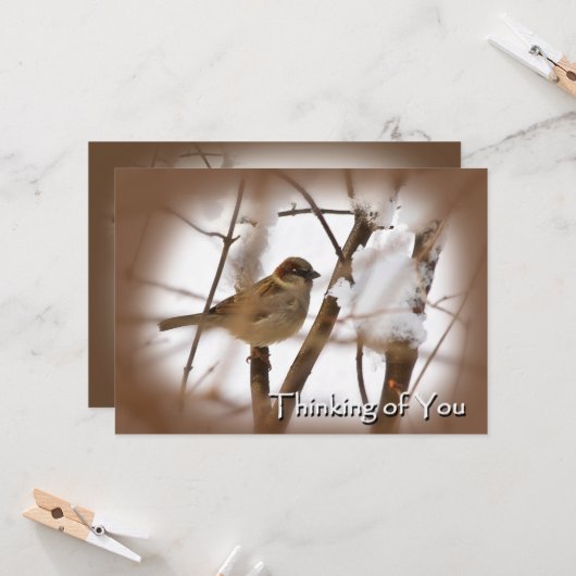 Denk aan je kaarten - bruin met vogel (Voorkant / Achterkant in situ)