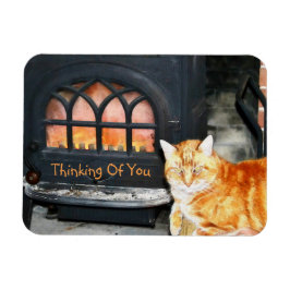 Denk aan je kat magneet