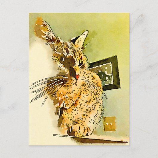 Denk aan je Kat Waterverf hartneus Briefkaart (Voorkant)