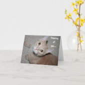 Denk aan je kitten kaart (Gele Bloem)