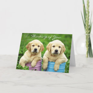 Denk aan je labrador Retriever Puppies Card Kaart