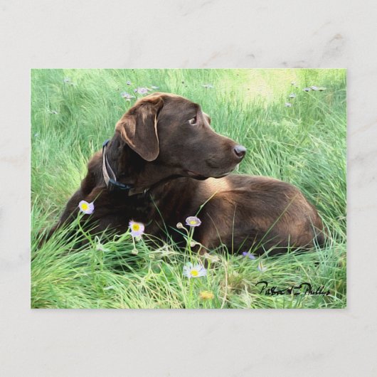 Denk aan je Labrador Retriever Purple Flowers Briefkaart (Voorkant)