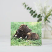 Denk aan je Labrador Retriever Purple Flowers Briefkaart (Staand voorkant)