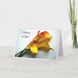 Denk aan je met Mango Colored Calla Lilies Kaart