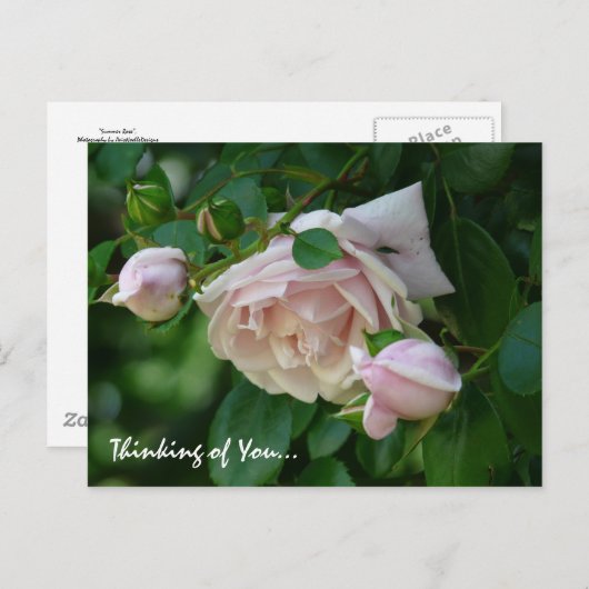 "Denk aan je" — mooie roze rozen Briefkaart (Voorkant / Achterkant)