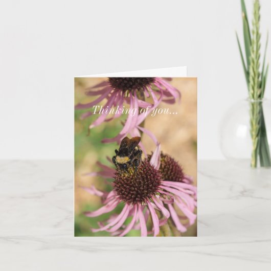 Denk aan je op Black Eyed Susan Pano Kaart (Voorkant)