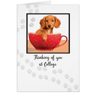 Denk aan je op College Cute Dachsund Dog