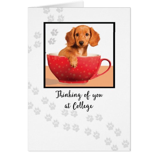 Denk aan je op College Cute Dachsund Dog (Voorkant)