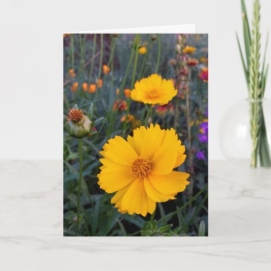 Denk aan je Oranje kosmos foto Kaart (Voorkant)