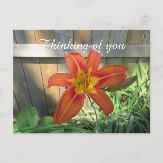 Denk aan je Oranje Lily Floral fotografie Briefkaart (Voorkant)