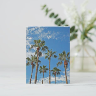 Denk aan je Palm Trees Blue Sky Paradise Briefkaart