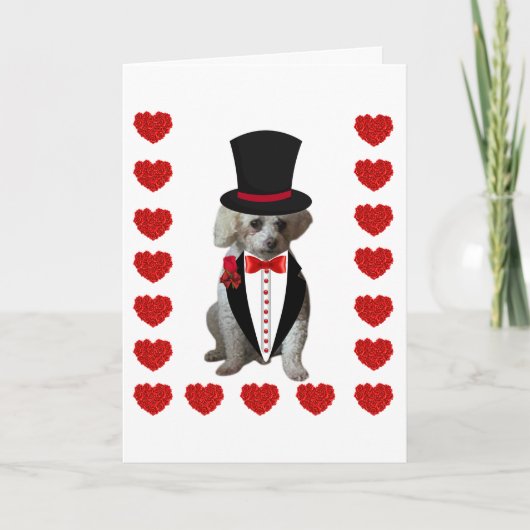 Denk aan je poedel gevouwen briefkaarten (Voorkant)