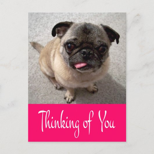 Denk aan je Pug Puppy Dog Greeting Post Card Briefkaart (Voorkant)