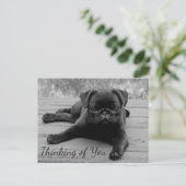 Denk aan je Pug Puppy Dog Greeting Post Card Briefkaart (Staand voorkant)