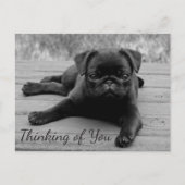 Denk aan je Pug Puppy Dog Greeting Post Card Briefkaart (Voorkant)