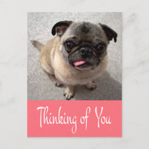 Denk aan je Pug Puppy Dog Pink Post Card Briefkaart