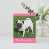 Denk aan je Pug Puppy Dog Post-kaart Briefkaart (Staand voorkant)