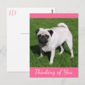 Denk aan je Pug Puppy Dog Post-kaart Briefkaart (Voorkant / Achterkant)