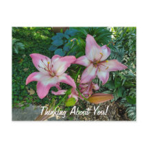 Denk aan je  roze gelilies