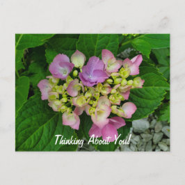 Denk aan je roze paarse bloemen briefkaart