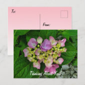 Denk aan je  roze paarse bloemen briefkaart (Voorkant / Achterkant)