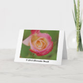 Denk aan je roze Rose Kaart (Achterkant)
