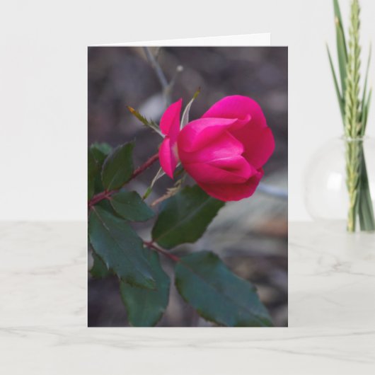 Denk aan je roze roze roze foto-sjabloon kaart (Voorkant)