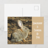 Denk aan je Schattige Wild Brown Bunny Briefkaart (Voorkant / Achterkant)