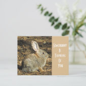 Denk aan je Schattige Wild Brown Bunny Briefkaart (Staand voorkant)