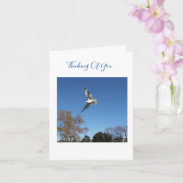 Denk aan je sympathikaart kaart