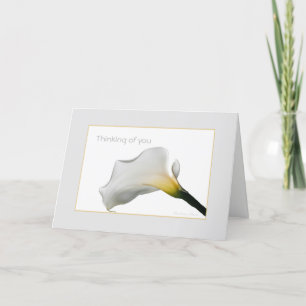 Denk aan je: Tijd van verlies kaart