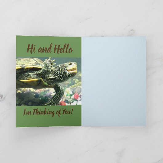 Denk aan je Turtle Kaart (Binnen)