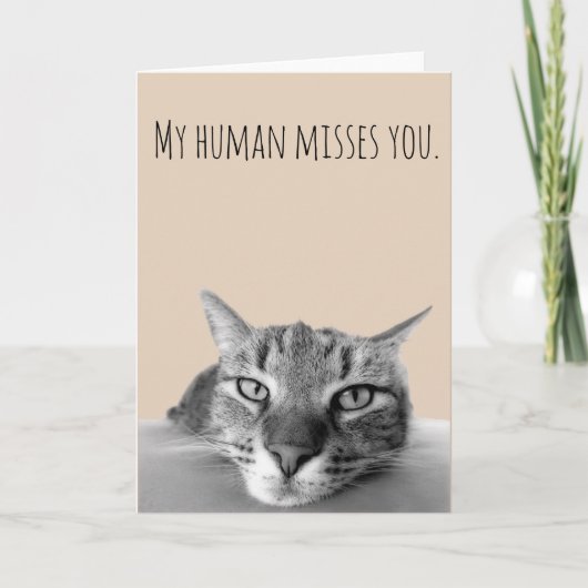 Denk aan je, van kat grappig kaart (Voorkant)