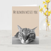 Denk aan je, van kat grappig kaart (Gele Bloem)