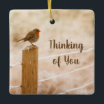 Denk aan je vogel op een Ornament van de Fence Pos<br><div class="desc">Kleine vogel die op een hek post zit. Tekst: "Denk aan je"</div>