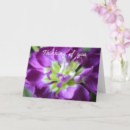 Denk aan je Wenskaart Kaart