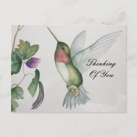 Denk aan je zoete kolibrie tuin briefkaart (Voorkant)