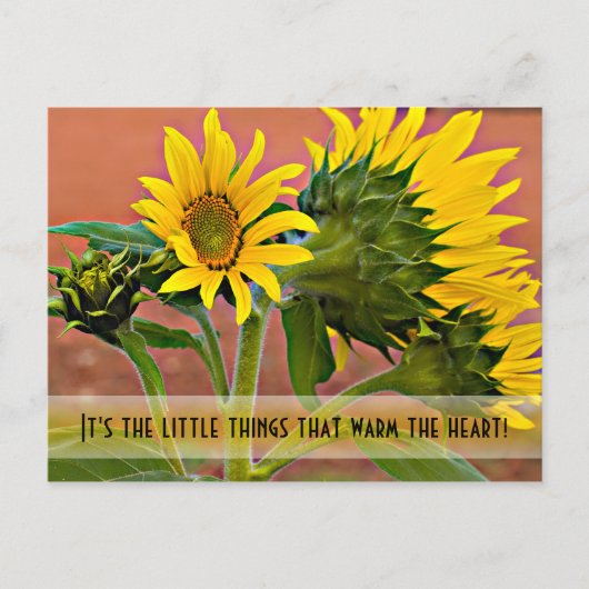 Denk aan je zonnebloemen Fotografie-Sjabloon Briefkaart (Voorkant)