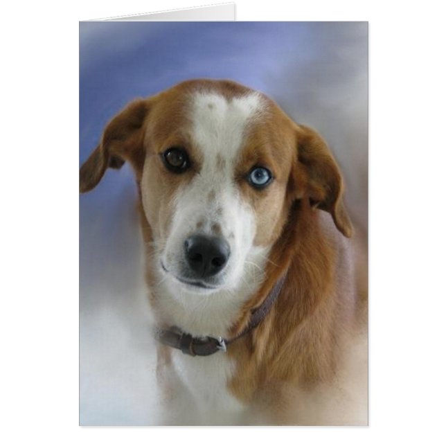 Denk aan jou (Voorkant)