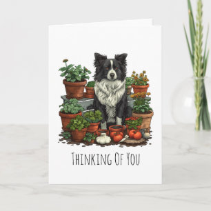 Denk Aan Jou Border Collie Tuinieren Kaart